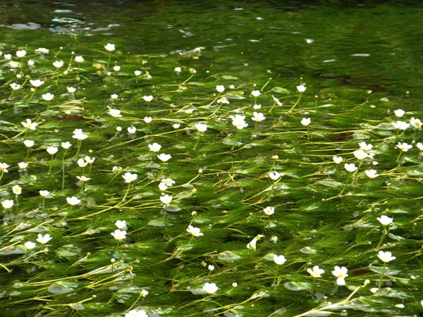 c0047341_628061.jpg