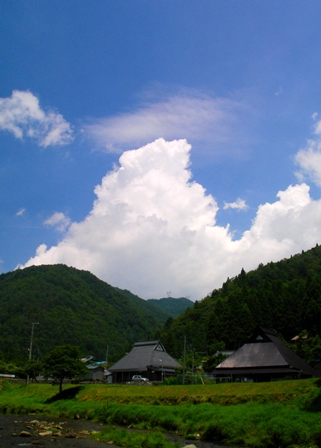 初鳴きと梅雨明け_d0005250_18525743.jpg