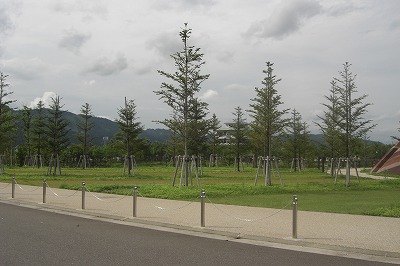 雨の合間の八色の森公園_a0084753_16225557.jpg
