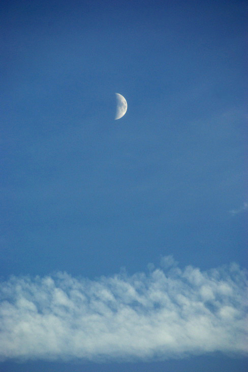 e0142357_1852042.jpg