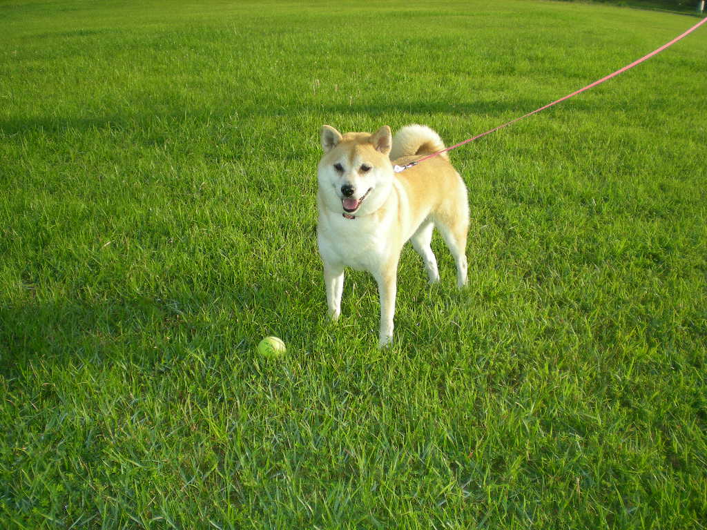 2009年7月14日(火)夏日になった日!_f0060461_20342095.jpg