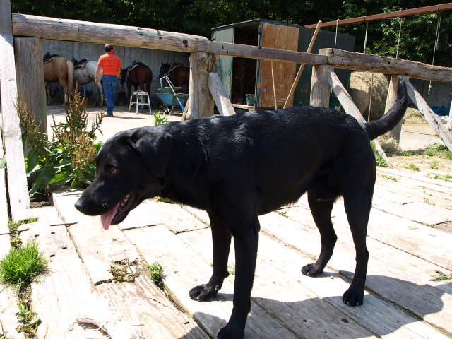 レイクトーヤランチ_d0153062_9333439.jpg