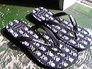 今年のhavaianas_c0197663_15415194.jpg