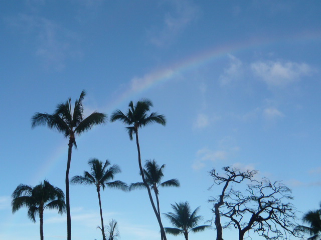 c0100865_3114253.jpg