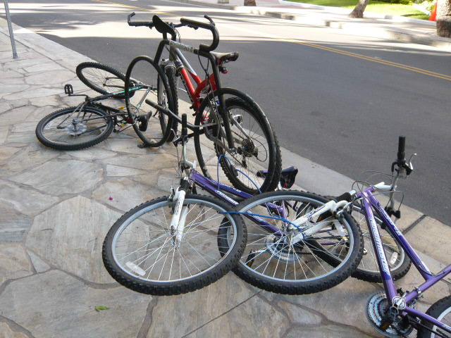 c0100865_3175272.jpg