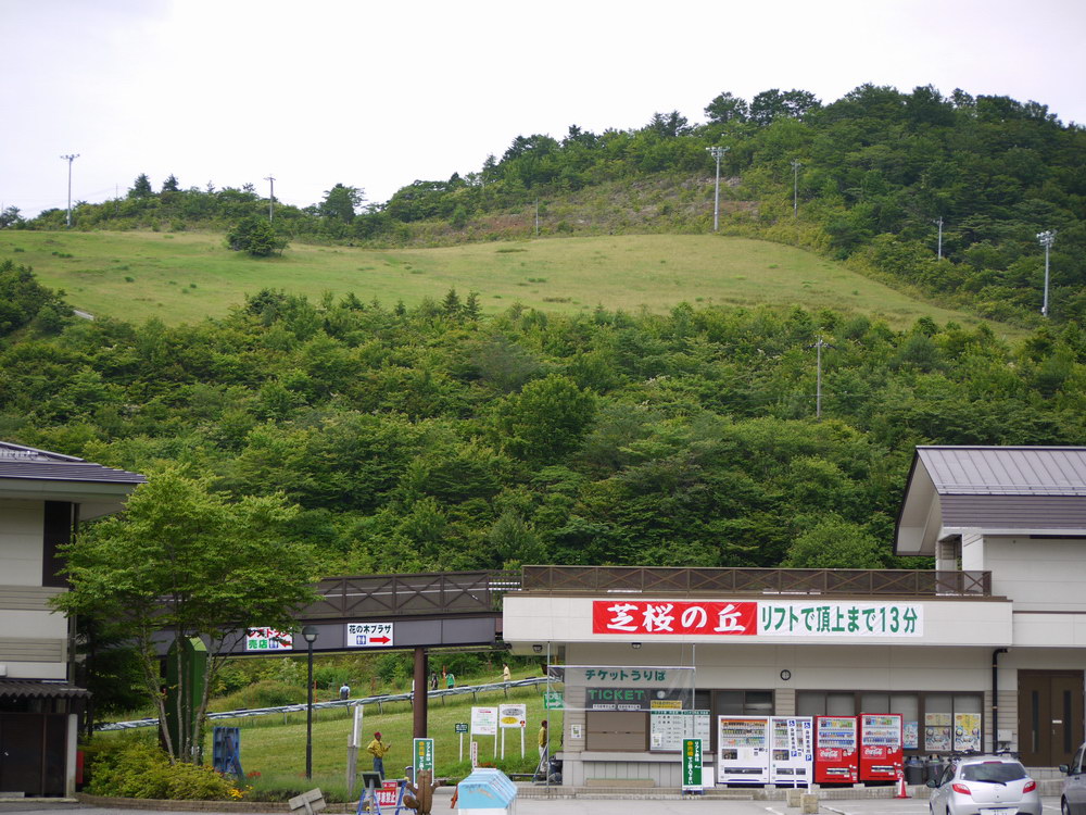 c0084268_756095.jpg