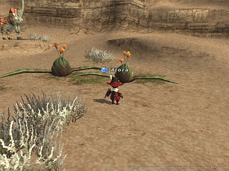 Ffxi ひとりで出来るかな 忍者af アトラのクポポ日記 Ffxi ひとりで出来るかな 忍者af アトラのクポポ日記