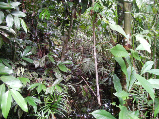 a0067578_11153482.jpg