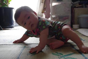 c0182782_1815157.jpg