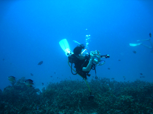 海況復活! ラチャヤイ島へレッツゴー!_f0144385_10504637.jpg