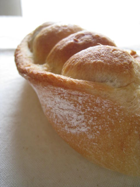 a0100488_671044.jpg