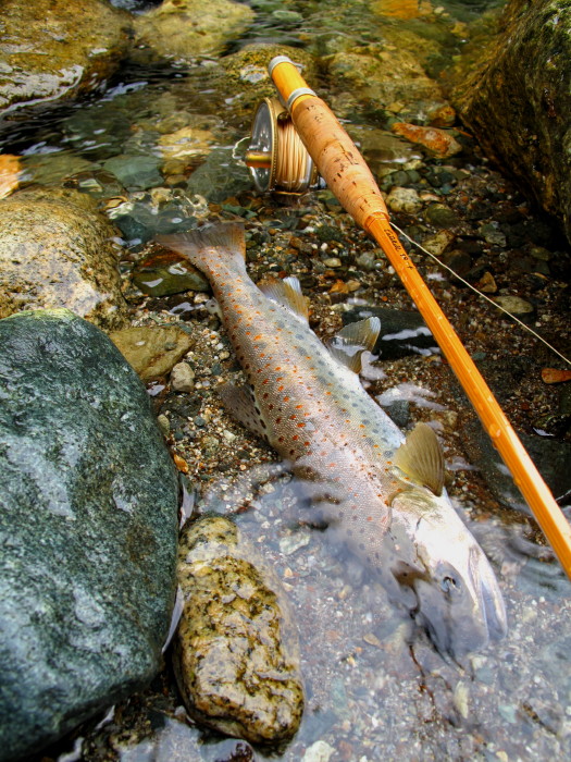 The Bamboo Rod / H.L.Leonard Catskill 38-4 2P : Spey Bum The Bamboo Rod / H.L.Leonard Catskill 38-4 2P : Spey Bum