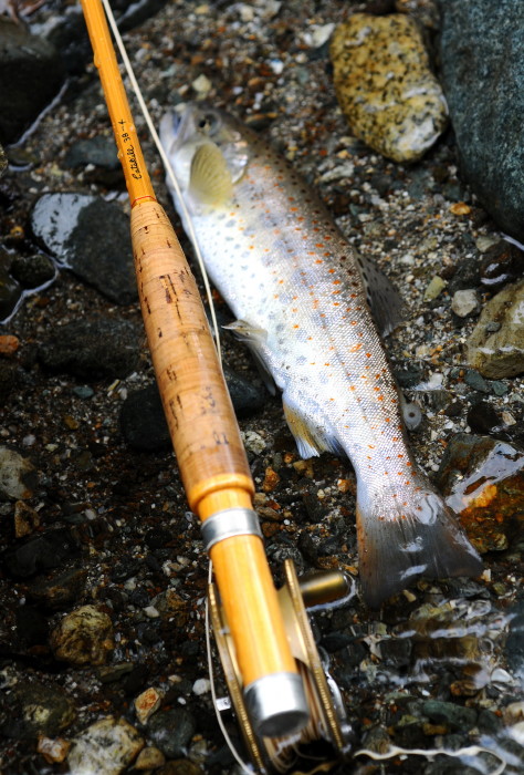 The Bamboo Rod / H.L.Leonard Catskill 38-4 2P : Spey Bum The Bamboo Rod / H.L.Leonard Catskill 38-4 2P : Spey Bum