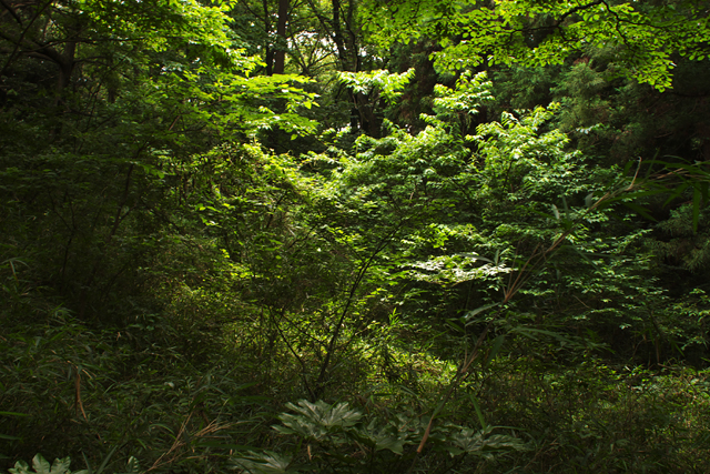 b0159790_21445995.jpg