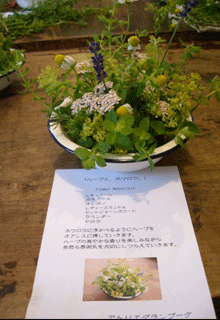 b0032694_8361436.gif