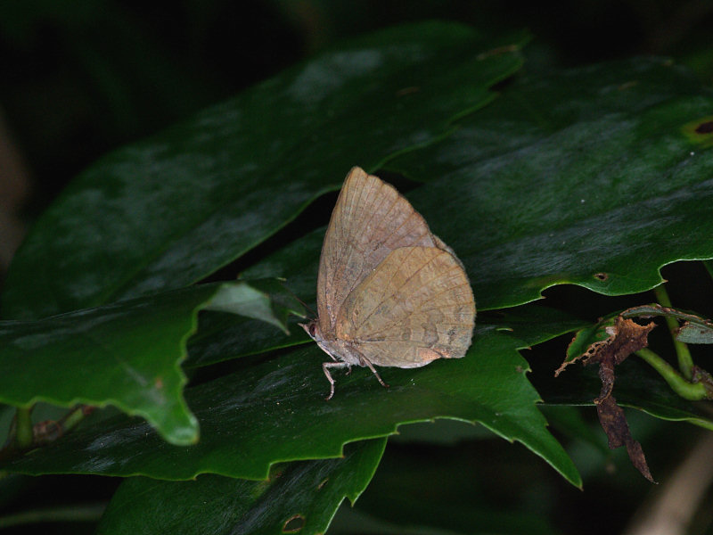 f0204094_934948.jpg