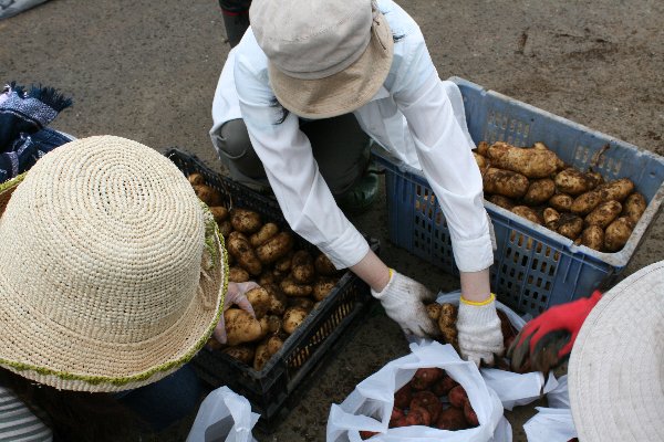 「おやじの為の野菜講座」2回分のご報告_f0054197_831586.jpg