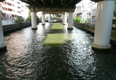 f0146198_11381181.jpg