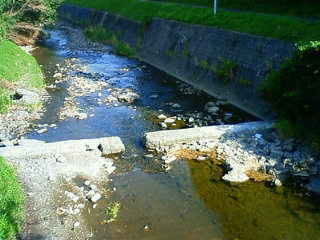 f0164003_223536.jpg