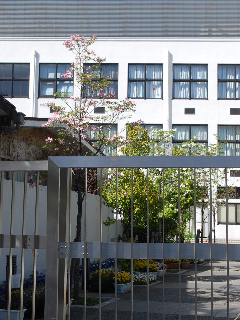 東京都港区立高輪台小学校(昭和モダン建築探訪)_f0142606_2150458.jpg