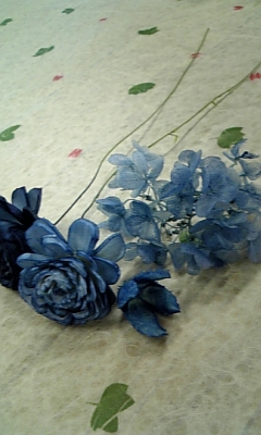 a0136507_20322466.jpg