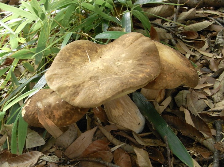 b0137208_23431922.jpg