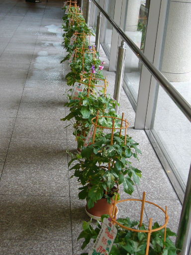 e0130008_19203521.jpg