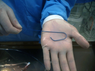 a0055913_0383060.gif