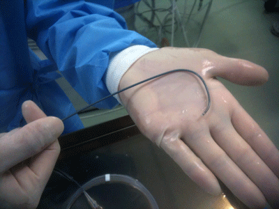 a0055913_0395413.gif