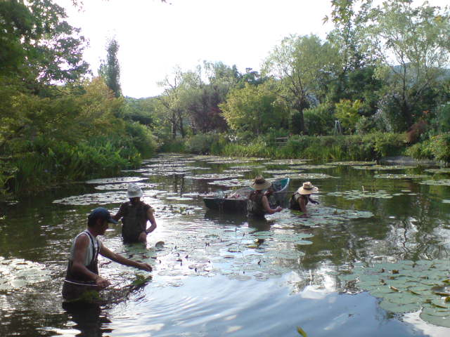 e0135518_10575157.jpg