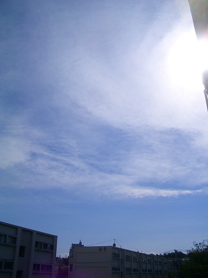 c0128722_1615198.jpg