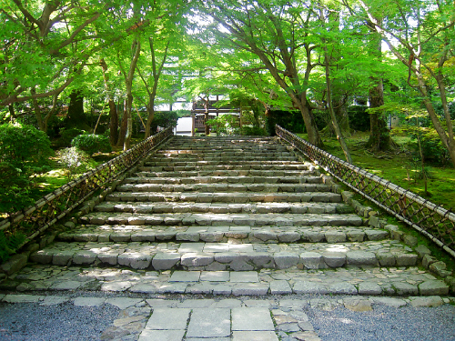 京都・美術館「えき」・竜安寺と、そして金閣寺_d0017632_15583286.jpg