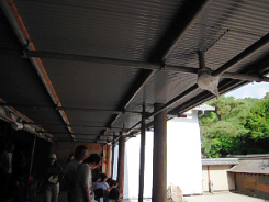 京都・美術館「えき」・竜安寺と、そして金閣寺_d0017632_1614226.jpg