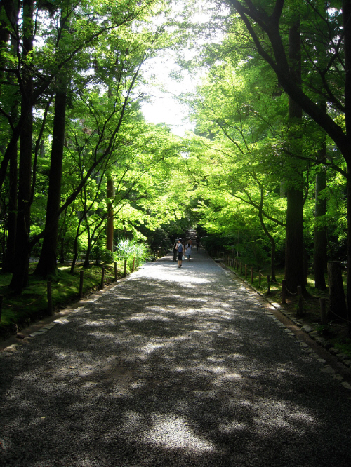 京都・美術館「えき」・竜安寺と、そして金閣寺_d0017632_16262240.jpg
