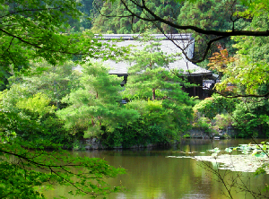 京都・美術館「えき」・竜安寺と、そして金閣寺_d0017632_16263340.jpg