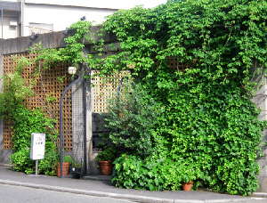 京都・美術館「えき」・竜安寺と、そして金閣寺_d0017632_16331535.jpg