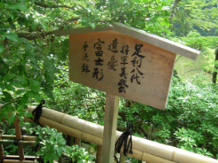 京都・美術館「えき」・竜安寺と、そして金閣寺_d0017632_1722516.jpg