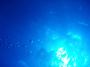 7月15日暑いねぇ(^^;)_c0070933_22444939.jpg