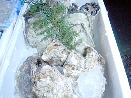 f0001841_15471490.jpg