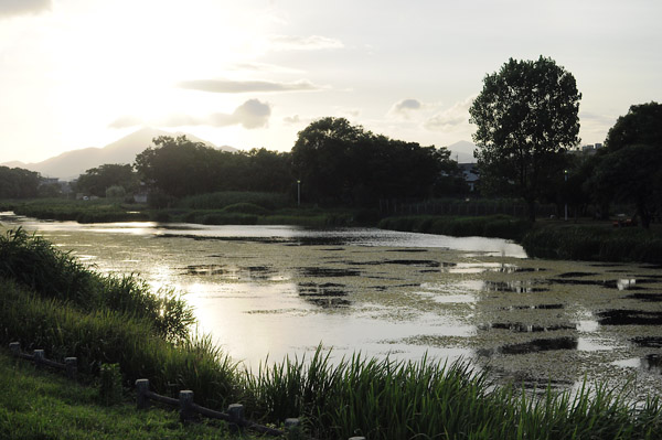 d0093043_11475040.jpg