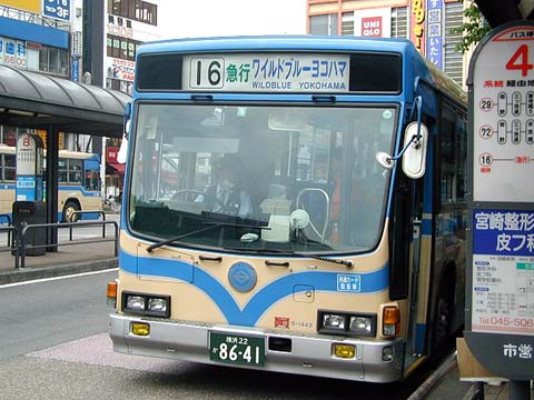 Wild Blue Yokohama タラには内緒 Wild Blue Yokohama タラには内緒