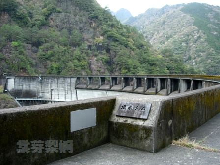 池原ダム（奈良県）～坂本ダム（奈良県）～クチスボダム（三重県）　2008年4月18日_e0178757_143376.jpg