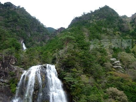 池原ダム（奈良県）～坂本ダム（奈良県）～クチスボダム（三重県）　2008年4月18日_e0178757_18141866.jpg