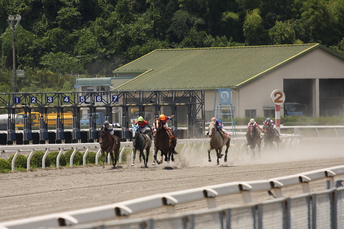 2009年7月12日（日） 高知競馬 1R E5_a0077663_18231077.jpg