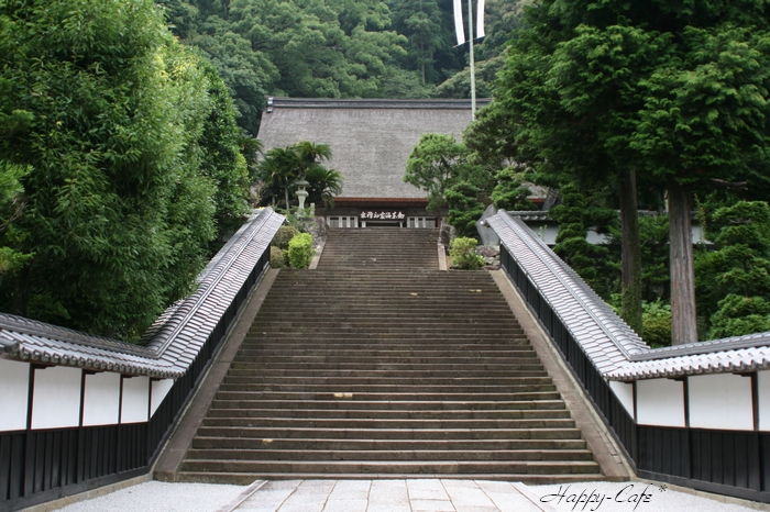 臨斎寺_e0148667_2272070.jpg