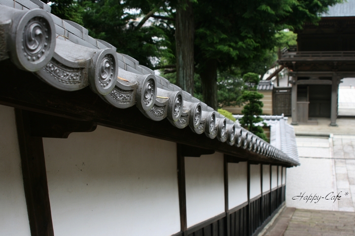 臨斎寺_e0148667_2291817.jpg