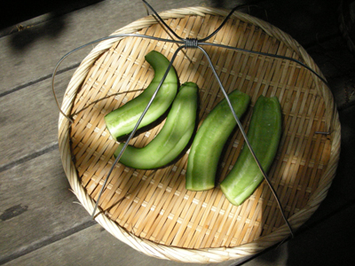 野菜は干して食すべし！？（干しきゅうり編）_b0138369_1331484.jpg