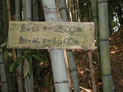 ハプニングの烏山～天狗寺山（てんぐぎさん）831.8ｍ　津山市_b0185573_1822964.jpg