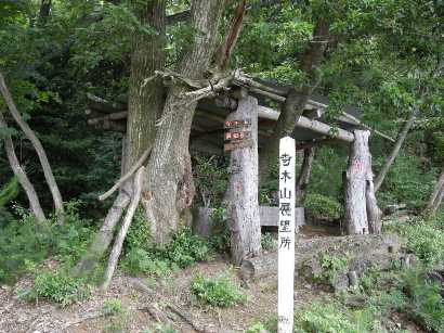 ハプニングの烏山～天狗寺山（てんぐぎさん）831.8ｍ　津山市_b0185573_20191195.jpg