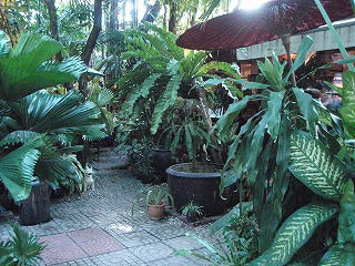 b0086476_103444.jpg